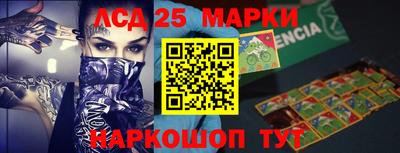 гидропоника Вышний Волочёк